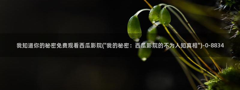 安装西瓜视频极速版