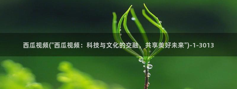 西瓜影音免费观看电视剧高清大全