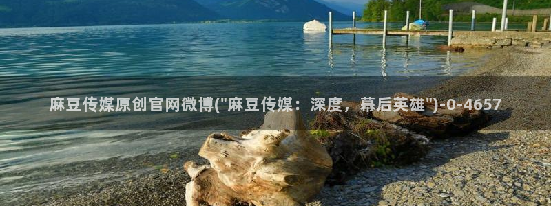 麻豆资讯描述