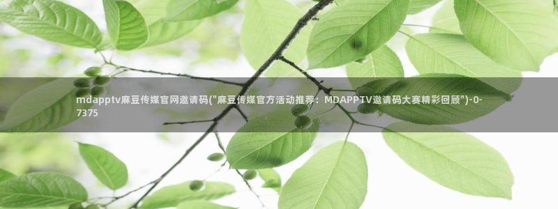 麻豆自定义库