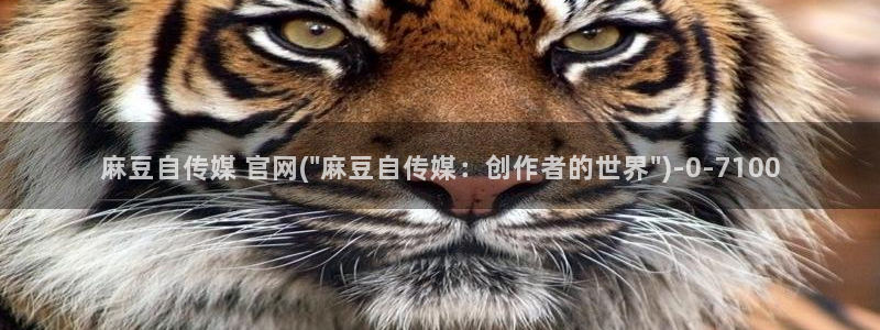 麻豆视频网