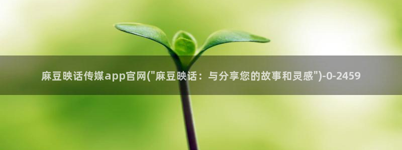 麻豆视频演员文案