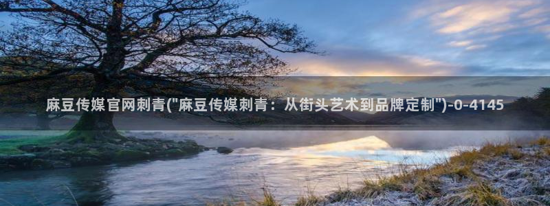 麻豆视频首页文案