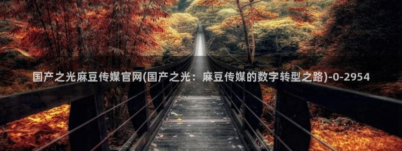 麻豆国产精选：国产之光麻豆传媒官网(国产之光：麻豆传媒的数字转型之路)