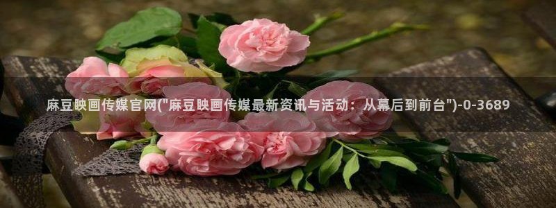 麻豆视频合作联系：麻豆眏画传媒官网(\