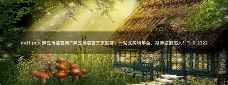 麻豆视频