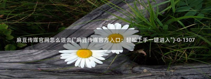 麻豆视频分类目录