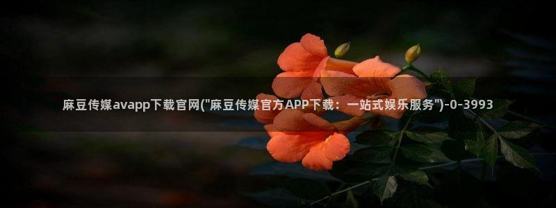 麻豆视频资料维护