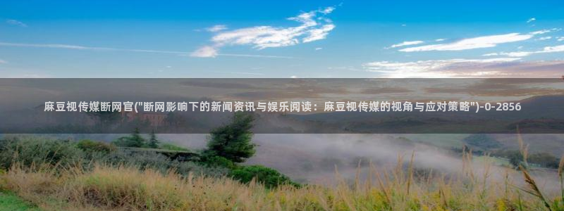 麻豆自定义库
