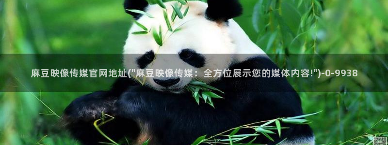 麻豆内容整理
